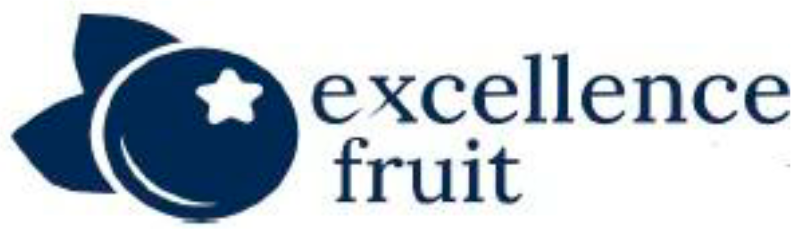 exce